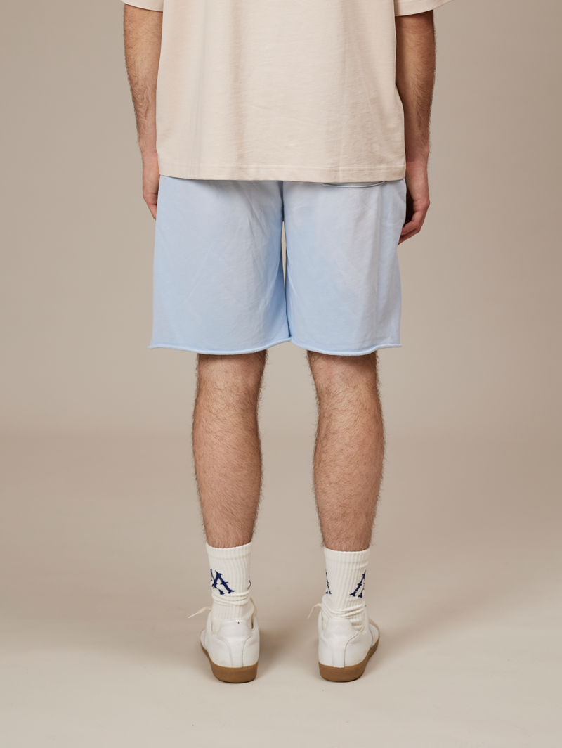 LIGHT BLUE SUNFADED EVERYDAYS SWEAT SHORTS