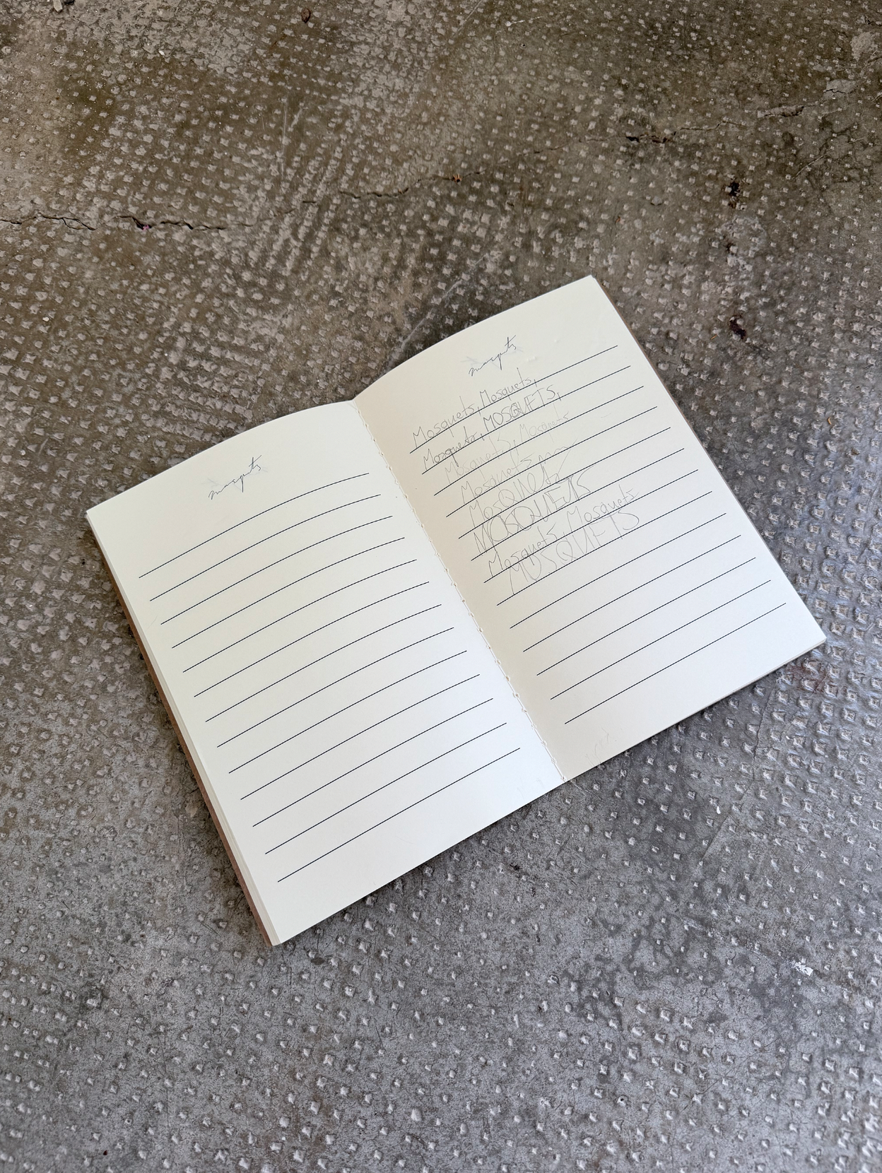 PAPER NOTE BOOK "MOSQUETS"